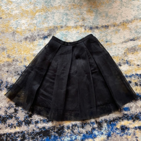 Black Mesh A-Line Skirt - Picture 7 of 8